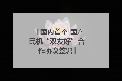 国内首个 国产民机“双友好”合作协议签署